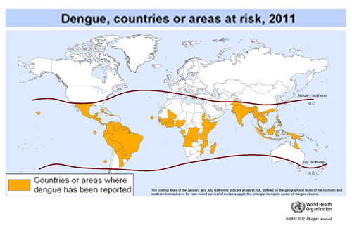 Dengue,2011
