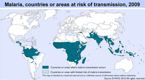 Malaria, 2007