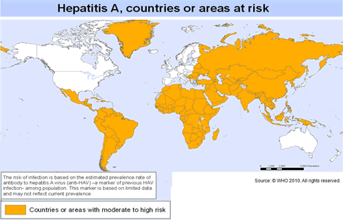 Hepatitis A , 2003