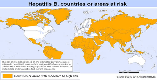Hepatitis B,2007