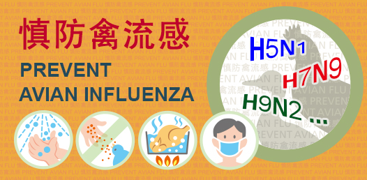慎防禽流感